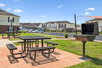 Grilling/picnic area